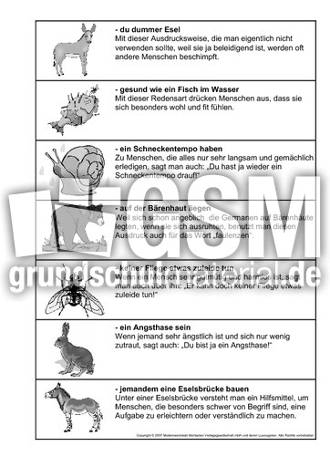 Redensarten-Tiere-SW-5.pdf
